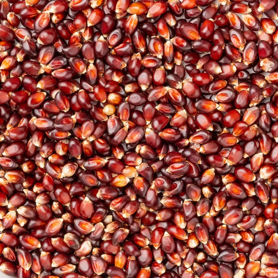 Amish Country Popcorn - Red Popcorn - Image 1 of 2