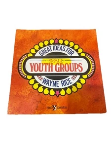 Great Ideas For Small Youth Groups Wayne Rice 1986 80s Book Vtg Vintage Jesus - Picture 1 of 17