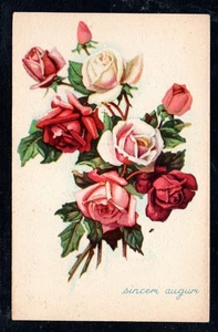 Cartolina  Augurale Sinceri Auguri Fiori  Rose (AA176) - Picture 1 of 2