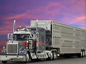 1/64 DCP KENWORTH W900L W/ 86" STUDIO SLEEPER & WILSON TANDEM AXLE CATTLE TRL - Picture 1 of 8