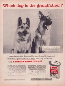 Print Ad Gaines Dog Food 1956 German Shepard Full Page 10.5"x13.5" - Picture 1 of 1