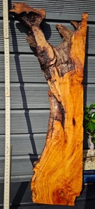 Olivenholz geölt | Olivenholzbrett | Epoxidharz | Epoxy | Rustikal | Brett Nr 10 - Bild 1 von 15