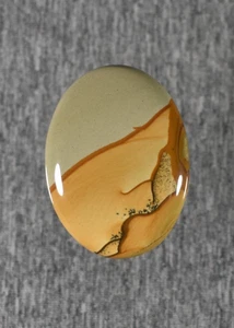 Wild Horse Picture Jasper Cabochon - Picture 1 of 7