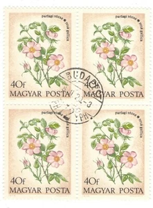 1973 Hungary CTO Block: Field Flowers (Rosa gallica) - Picture 1 of 1
