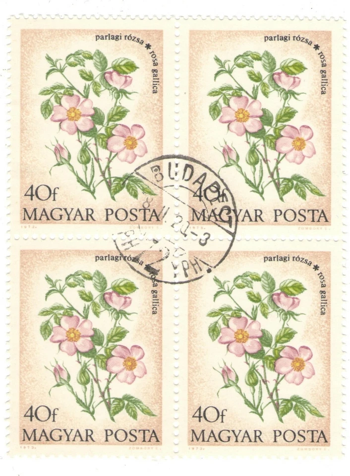 1973 Hungary CTO Block:  Field Flowers (Rosa gallica) - Image 1 of 1