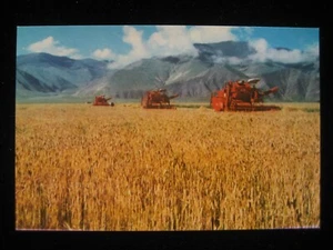 China Postkarte - Scenic Tibet / Phampo State Farm - Bild 1 von 2