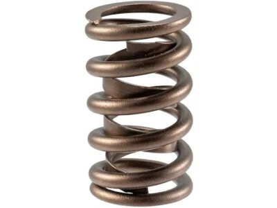 Para 1975-1978 GMC C15 Suburban Valve Spring 38131TNRG 1976 1977 5,7 L V8 GAS Foto 1 de 2