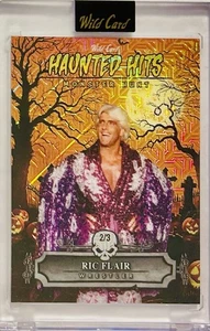 2025 WC HAUNTED HITS RIC FLAIR WWE Monster Hunt 2/3 Orange Pulsar Pumping Patch - Bild 1 von 2