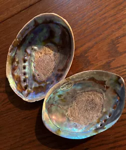 Paua shells. Trinket dish/collectors item - Picture 1 of 6
