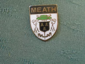 VINTAGE MEATH DIOCESE LOURDES PILGRIMAGE - IRELAND ENAMEL PIN BADGE - FATTORINI - Picture 1 of 2