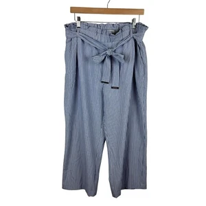 NWT Calvin Klein Blue Striped Pants Sz L Paper Bag Waist Cropped Wide Leg Belted - Picture 1 of 11