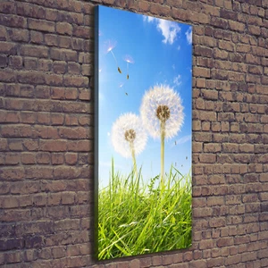 Leinwand-Bild Kunstdruck Hochformat 50x125 Bilder Löwenzahn Wiese - Bild 1 von 6