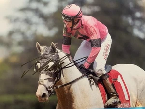 Foto A4 firmada por Trevor McCarthy con certificado de autenticidad - Carreras de caballos / Jockey - Imagen 1 de 1