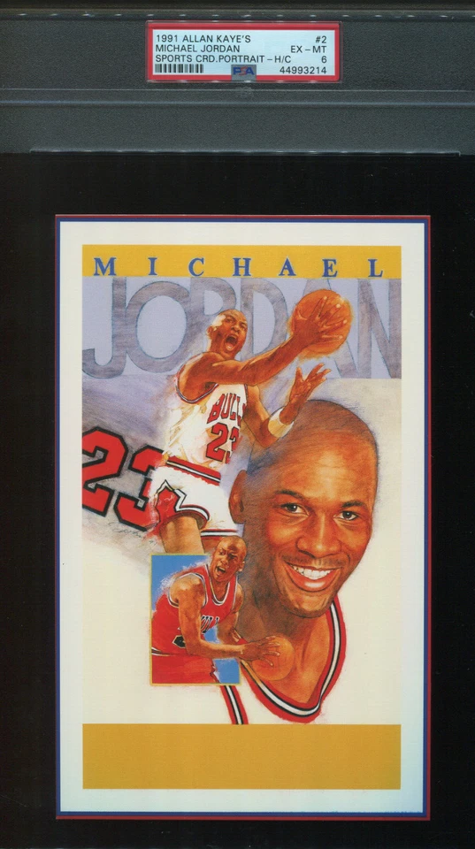 PSA 6 como nuevo 1991 retrato de Michael Jordan de Allan Kaye #2 jumbo 8x10 Bulls Hof Foto 1 de 1