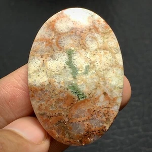 Natural Coral Fossil Cabochon 41x29x8.5mm High Quality 68 ct - Picture 1 of 7