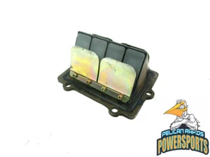 Válvula de caña Polaris OEM 2000-2007 RMK SKS Pro X XC SP 500 600 700 800+++ - Imagen 1 de 6