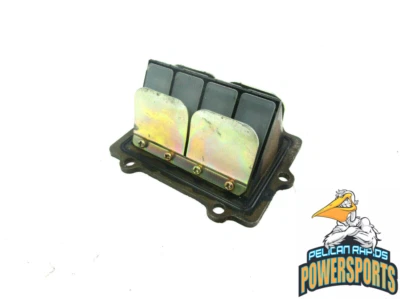 Polaris OEM Reed Valve 2000-2007 RMK SKS Pro X XC SP 500 600 700 800+++ - Image 1 of 4