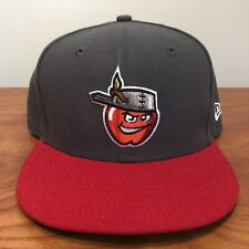 Fort Wayne Tincaps Hat Baseball Cap Fitted 7 3/8 New Era Minors MiLB Gray Retro