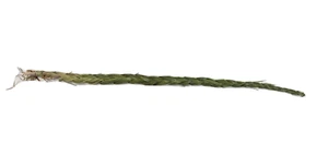 SWEETGRASS Braid - Single Braid - Picture 1 of 3