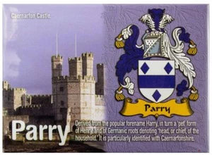 Imán metálico de recuerdo de apellido familiar galés Parry - Imagen 1 de 2