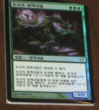 (Foil)[NM] MTG Korean, Dark Ascension, 1 x Predator Ooze