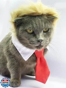 Donald Trump Stil Haustier Kostüm Hundeperücke, Hundekleidung mit Halsband und Krawattenkopf  - Bild 1 von 5
