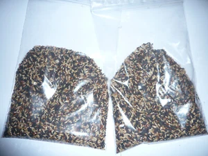 500 g / 0,5 Kg Kanarienfutter Hauptfutter Vogelfutter Kanarienvögel (8,56€/kg) - Bild 1 von 1