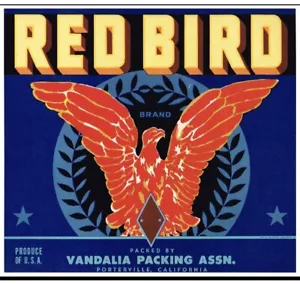 RED BIRD etichetta cassa arancione vintage colore art deco ORIGINALE 192O-1930s OTTIMA - Foto 1 di 1