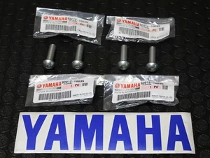 06-23 Yamaha Raptor 700 OEM Subframe Sub Frame BOLTS x4 Bolt 🔥FAST SHIP🔥 Z - Picture 1 of 3