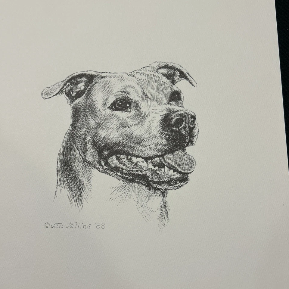 Staffordshire Bull Terrier impresión vintage de Jan Jellins 8 X10 Foto 1 de 1