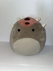 SQUISHMALLOW Ainhoca l'Ankylosaurus Squishmallow 14 pollici - Foto 1 di 6