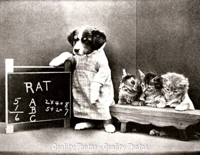 GOODS GALORE Dog Teaches Kittens 8.5x11" Photo Print Little Folks of Animal Land Funny Art