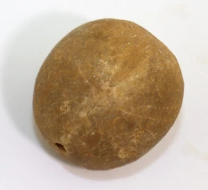 Seeigel, Collyrites dorsalis, Jura, Callov, Mortagne-au-Perche, Frankreich-L226 - Picture 1 of 6