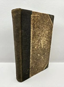 Picciola SAINTINE X-B Hardcover Book 1879 - Picture 1 of 7