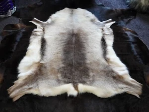 Reindeer Hide, A Beautiful Superior Quality Pelt Traditionally Farmed in Finland - Imagen 1 de 11