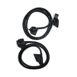 1978-1980 Pontiac Grand Am Door Seal Kit - Picture 1 of 1