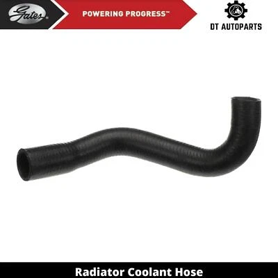 Manguera de refrigerante de radiador de gas V6 de 3,5 L para Dodge Magnum 2005-2006 puertas inferiores Foto 1 de 4