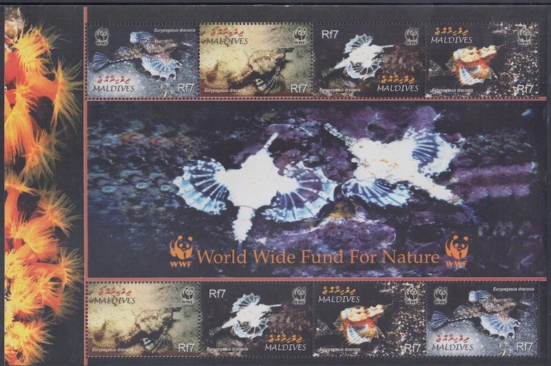MALDIVE ISLANDS Sc # 2839e MNH SHEET of 2 SETS of 4 WWF ENDANGERED CORALS - Image 1 of 1