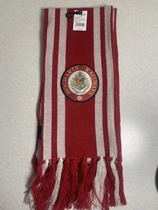 Universal Studios Harry Potter Hogwarts Mago Bufanda Bordada Rayas NUEVO CON ETIQUETAS $37 - Imagen 1 de 6
