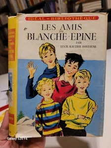 Les Amis De Blanche Epine .. Lucie Rauzier Fontayne ... Editions Hachette - Imagen 1 de 4