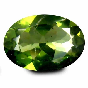 1.70 Cts Best Natural Best Green Color Apatite Rarest Stunning Loose Gemstones - Picture 1 of 5