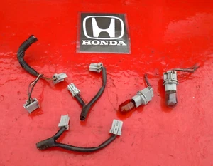 Honda Accord 2004 04 luz trasera cableado arnés coletas fabricante de equipos originales sedán 4 puertas - Imagen 1 de 3