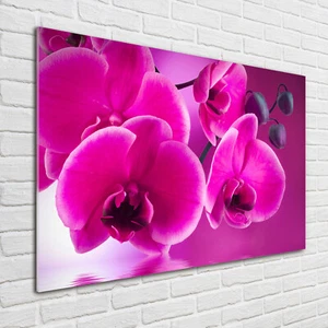 Glas-Bild Wandbilder Druck auf Glas 100x70 Deko Blumen & Pflanzen Orchidee - Bild 1 von 6
