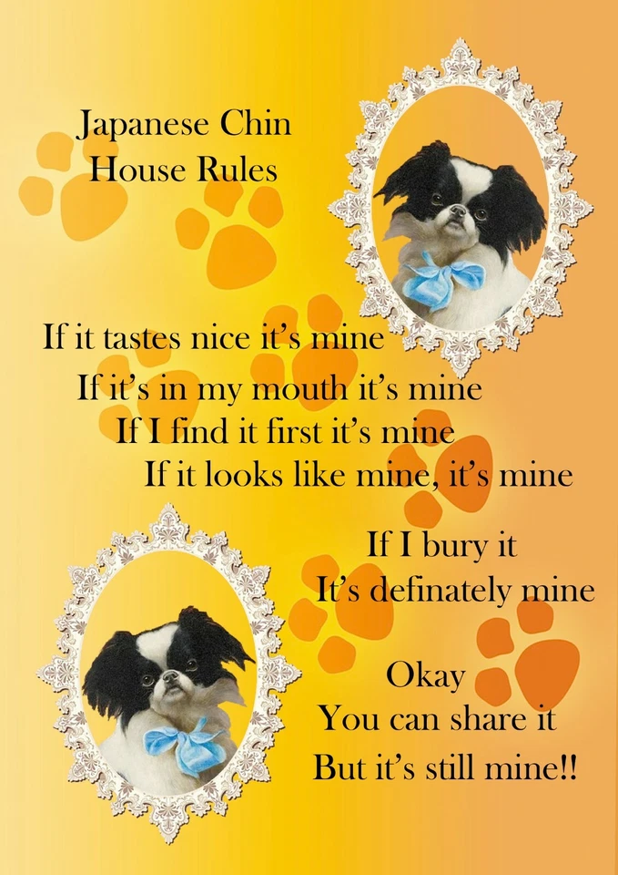 Japanese Chin Comic Dog Sign "It's Mine" A4 Laminated Poster Print Fun Gift - Image 1 of 1