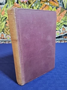 Dove In The Eagles Nest by Charlotte Yonge - American Publishers Inscribed 1897 - Imagen 1 de 8