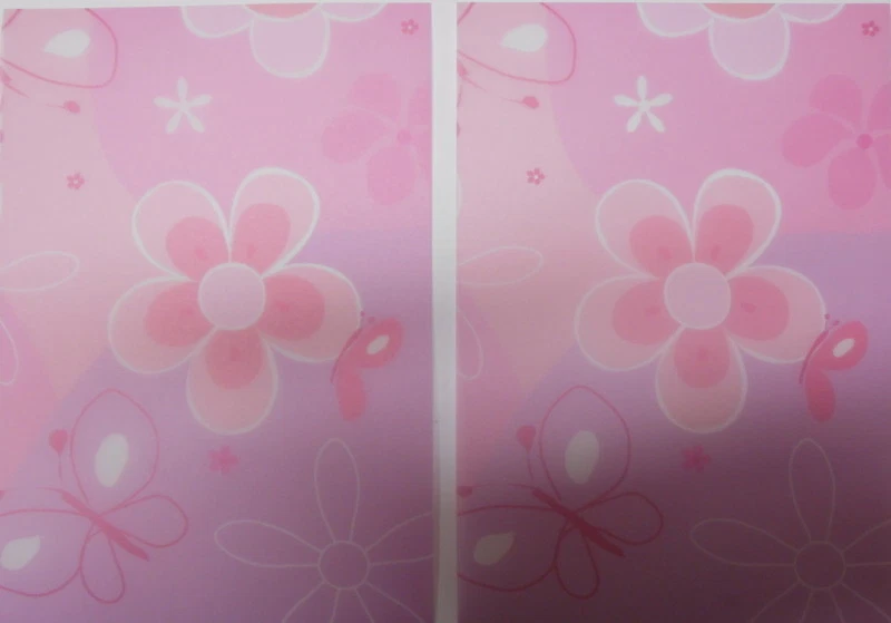 Christina Re Transparent Paper 15cm x 10.5cm ~ FLOWERS & BUTTERFLIES x 10  - image 1 of 1