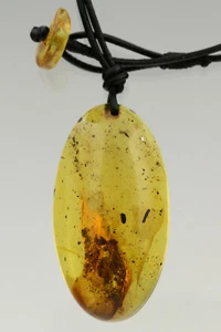 BEETLE & MOTH CASE Genuine BALTIC AMBER Pendant Leather String 11.5g 190306-1 - Picture 1 of 4