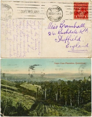AUSTRALIA 1917 PPC SUGAR CANE PLANTATION Brisbane Machine - Image 1 of 3