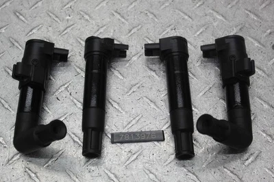 CONJUNTO DE BOBINAS 2010 BMW R1200GS ADVENTURE - Imagem 1 de 4