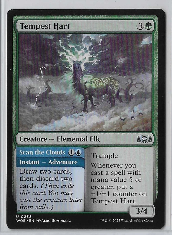 MTG Tempest Hart Wilds OF Eldraine (WOE) Uncommon Magic Card #0238 Unplayed - Image 1 of 1